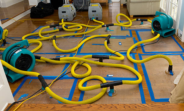 Professional Basement Flood Cleanup technician working in Stockton, AL